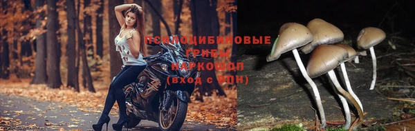 кокаин колумбия Балабаново