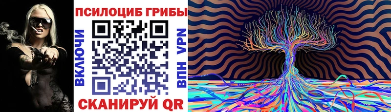 Галлюциногенные грибы MAGIC MUSHROOMS  Каспийск 